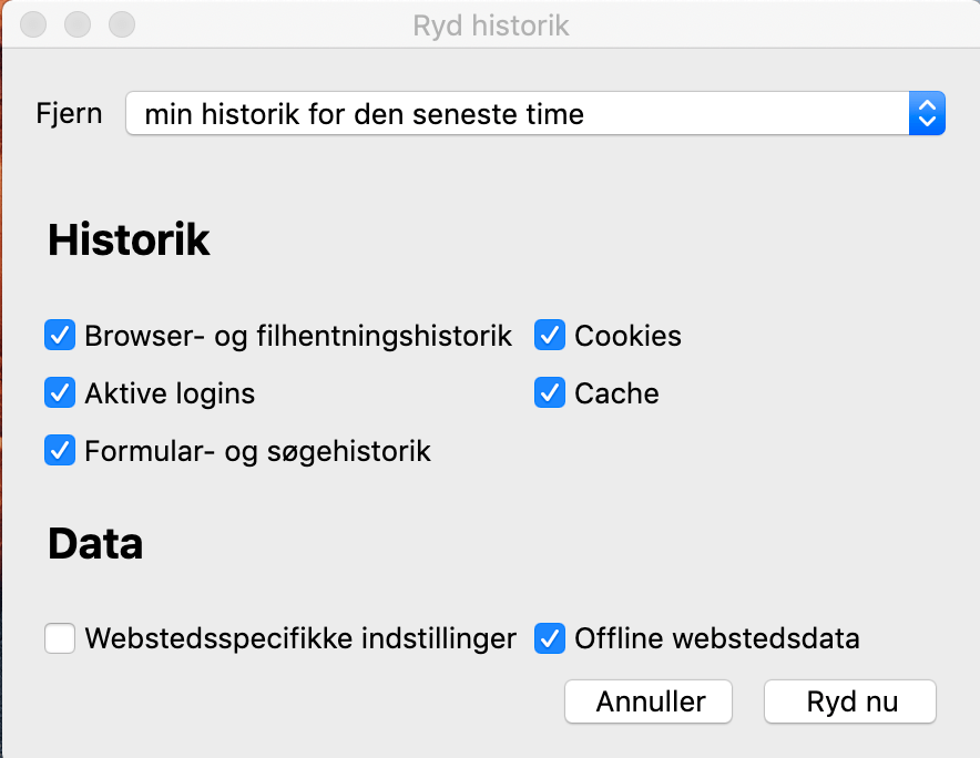 ryd-cache-i-firefox-paa-windows