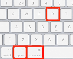 ryd-cache-i-safari-genvej